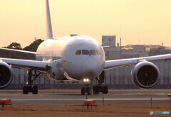 癒しの時間✈Dreamliner