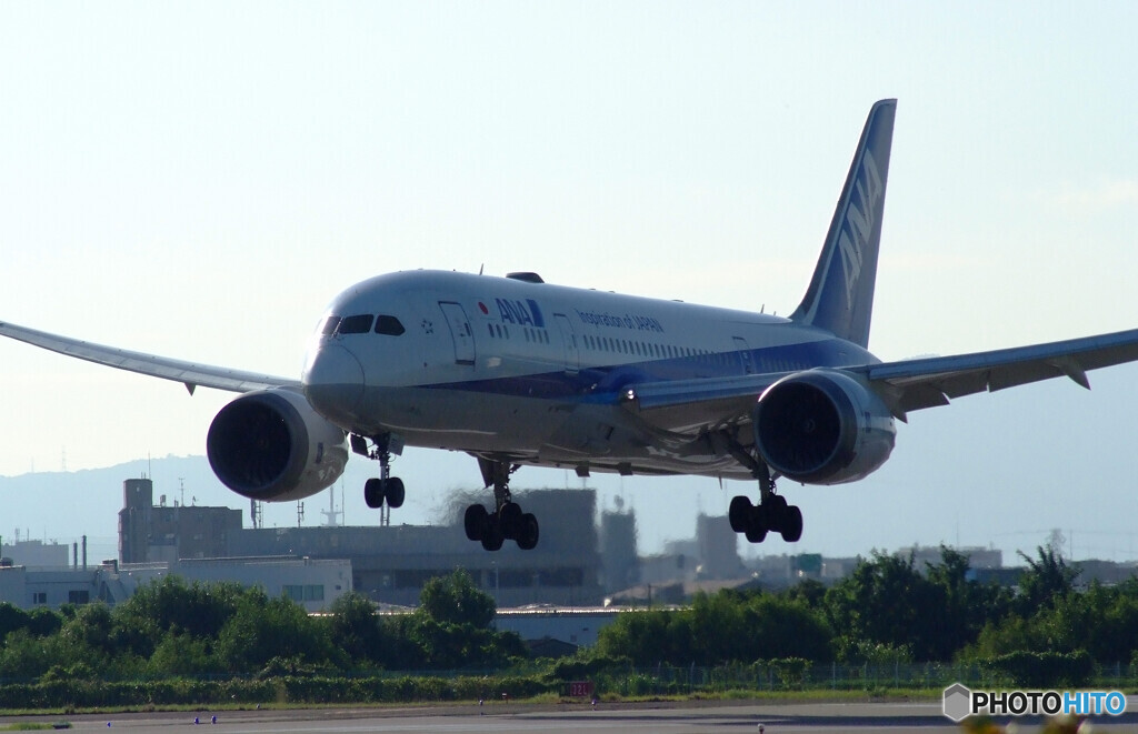 妄想の旅へ✈Boeing787-8