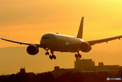 Rising Sun✈Boeing 787-8
