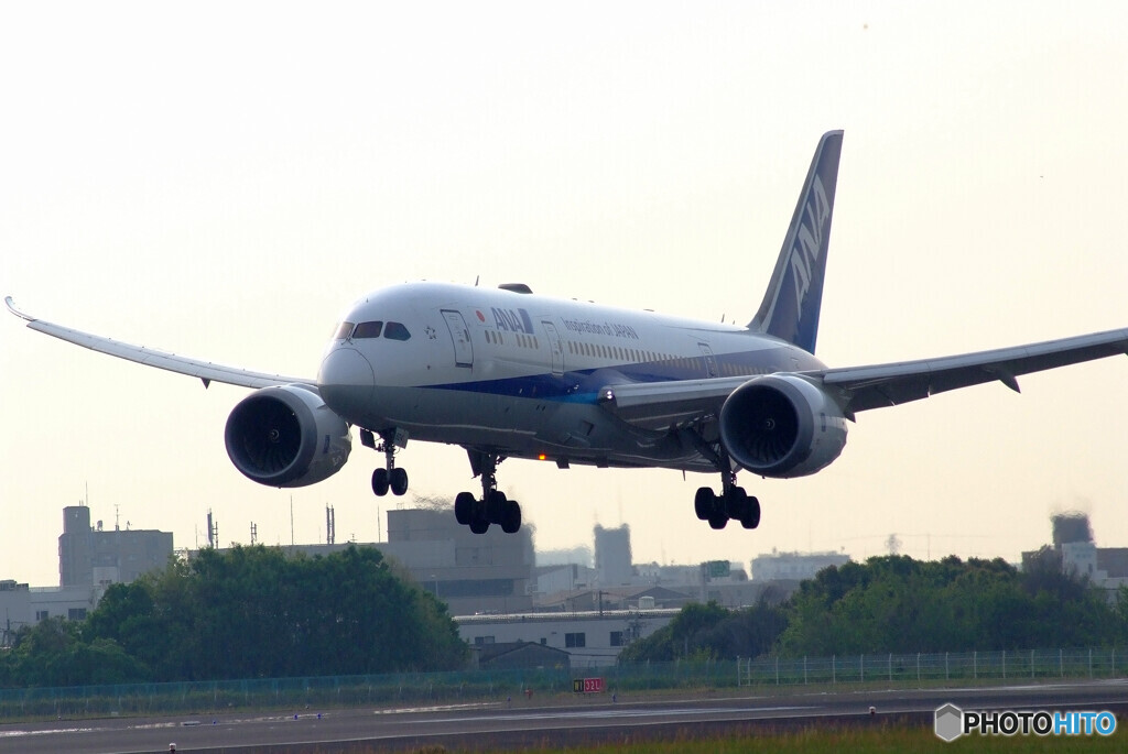 SKY LANDの朝 Ⅲ✈Boeing 787-8
