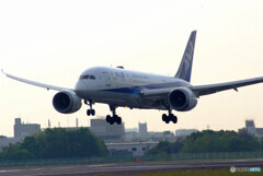 SKY LANDの朝 Ⅲ✈Boeing 787-8