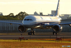 耀き・Airbus A321