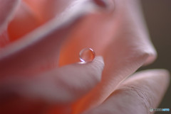 君の瞳に恋して・雫