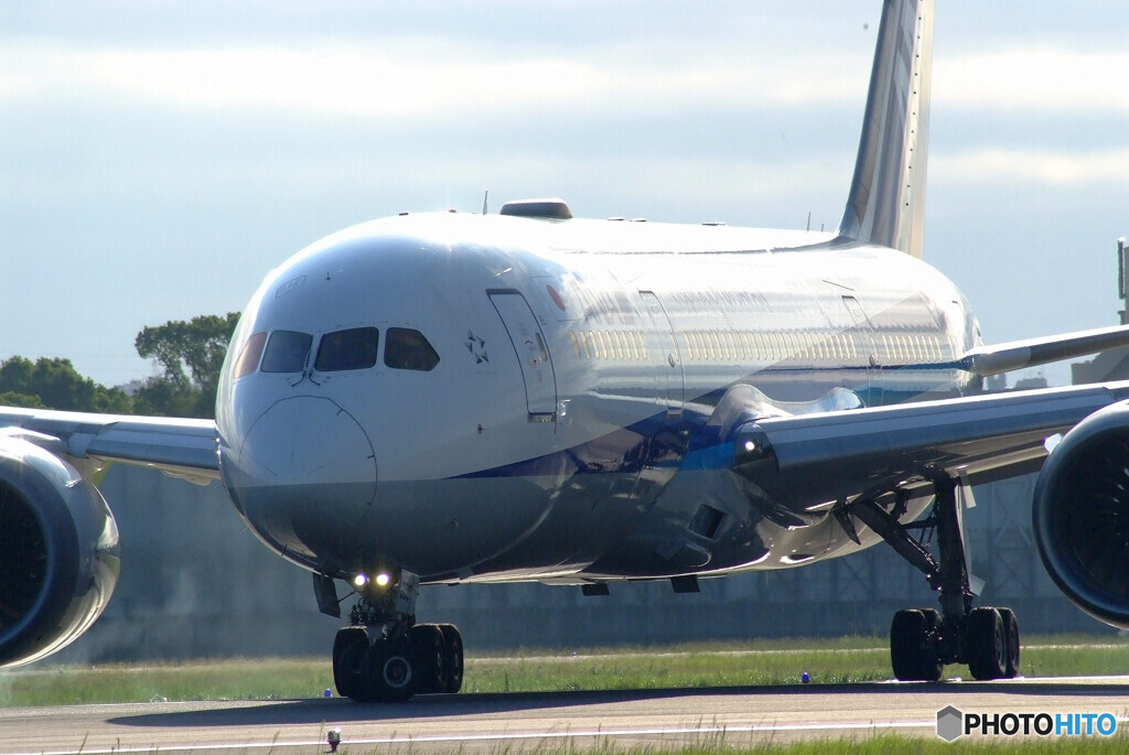 Morning star輝✈Boeing 787-8