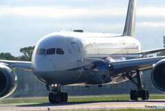 Morning star輝✈Boeing 787-8