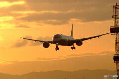 January TravelerⅧ★Boeing 787-9