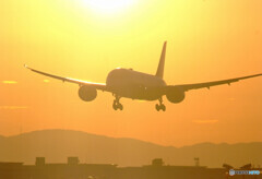 December Sunrise・787