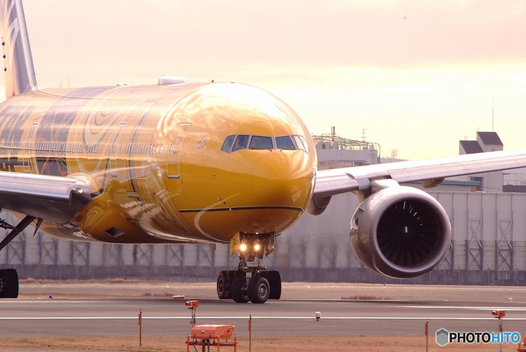 Beautiful MorningⅥ・沢庵！