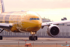 Beautiful MorningⅥ・沢庵！