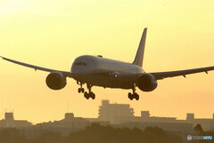 大空に誘うⅤ✈Boeing 787-8