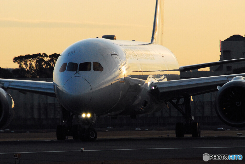 HARADAの朝✈Boeing 787-8