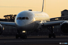 HARADAの朝✈Boeing 787-8