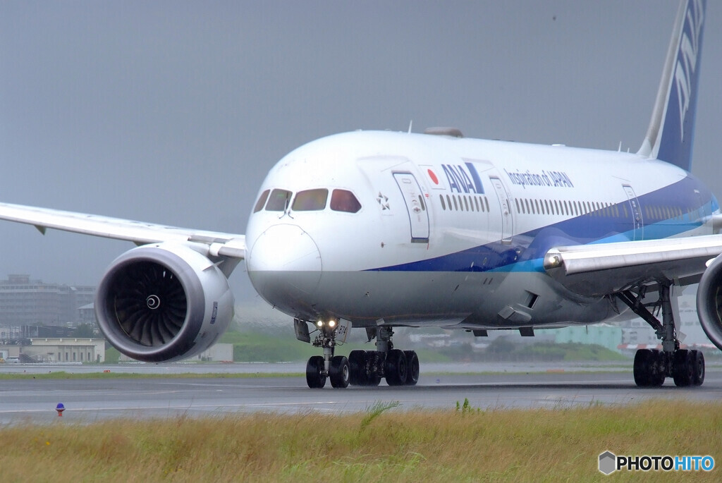 8月の翼✈Dreamliner