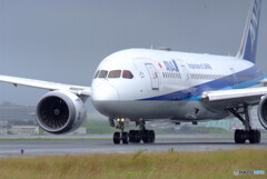 8月の翼✈Dreamliner