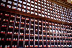 そうだ・勝尾寺に行こう！（Ⅲ）