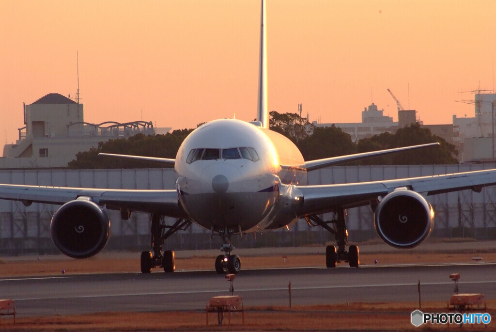 January travelerⅤ☆Boeing 767-300