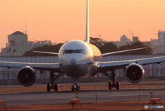 January travelerⅤ☆Boeing 767-300