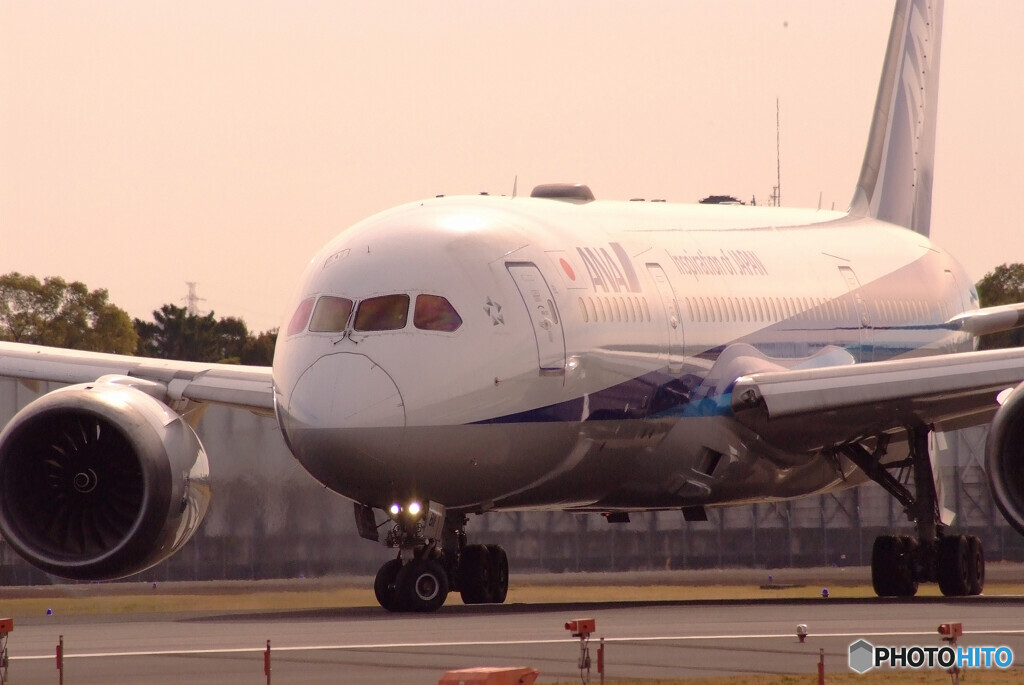 桜色の季節にBoeing 787-8 Dreamliner