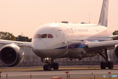 桜色の季節にBoeing 787-8 Dreamliner