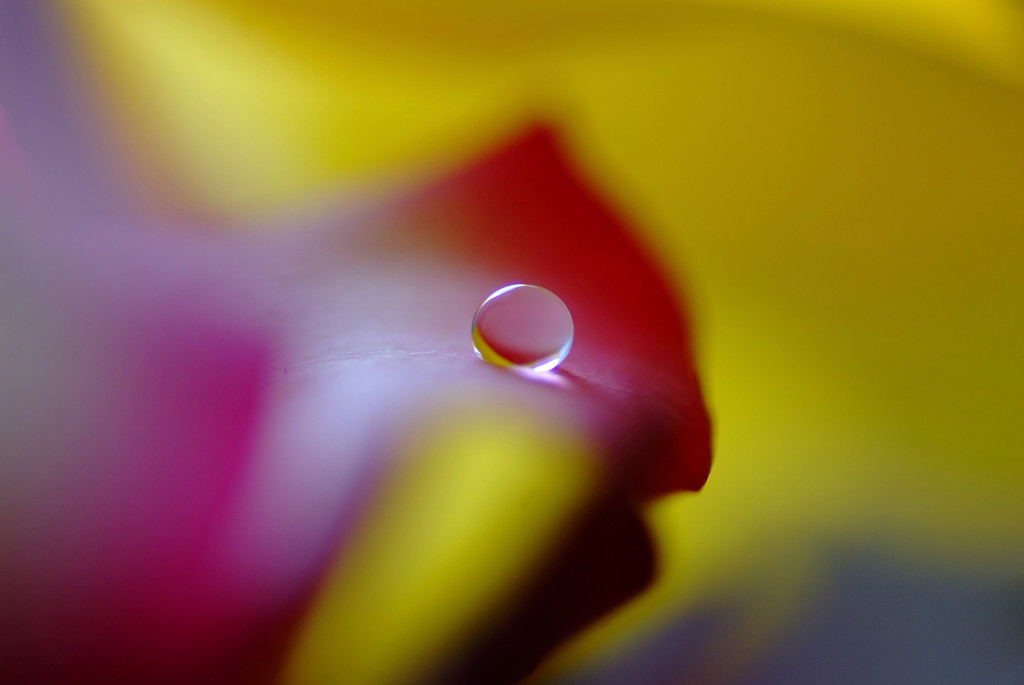 ルージュの伝言・雫