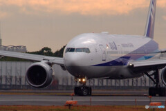 Another Sky Ⅱ✈秋