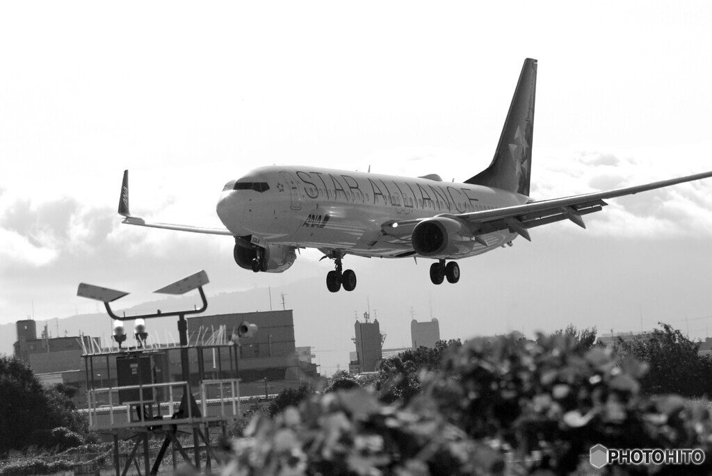 B/Wの世界から✈Boeing 737-800