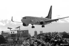 B/Wの世界から✈Boeing 737-800