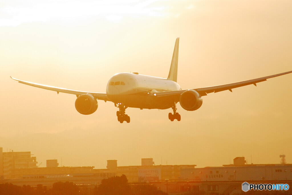 永遠の翼のBoeing 787-8