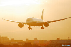 永遠の翼のBoeing 787-8