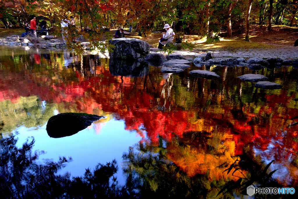 水面紅葉✿錦秋