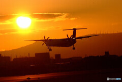 鮮やかに美しく✈Bombardier DHC-8-400 