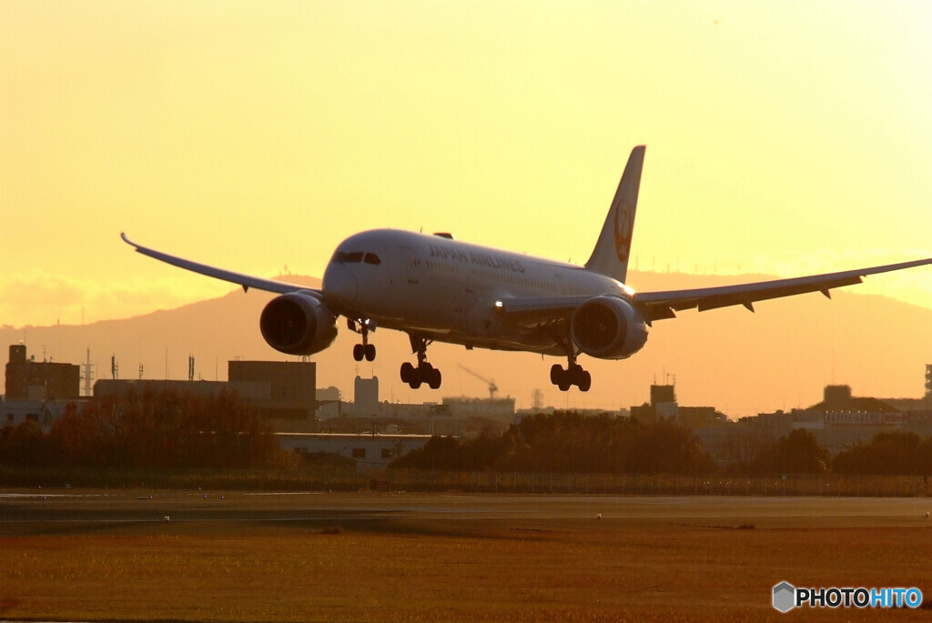 俺の朝焼け✈JAL Boeing787