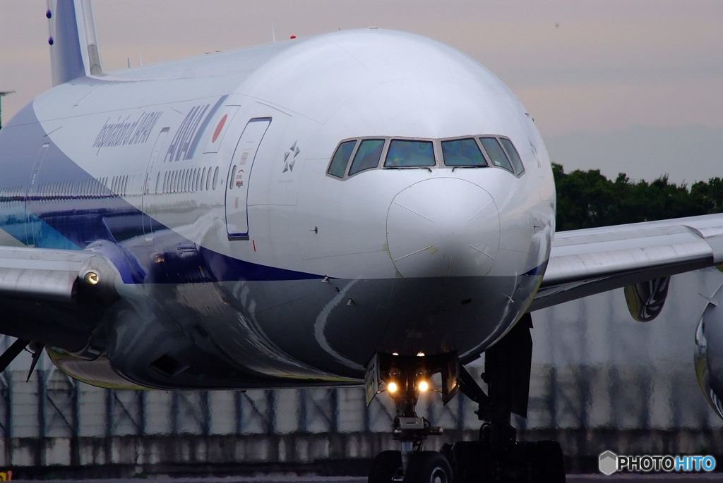 Morning StarⅤ・秋