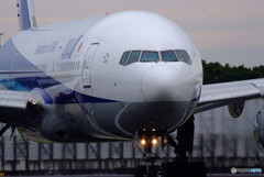 Morning StarⅤ・秋