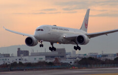 SKYLANDの朝✈弥生2025