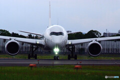 Nice Face✈A350-900