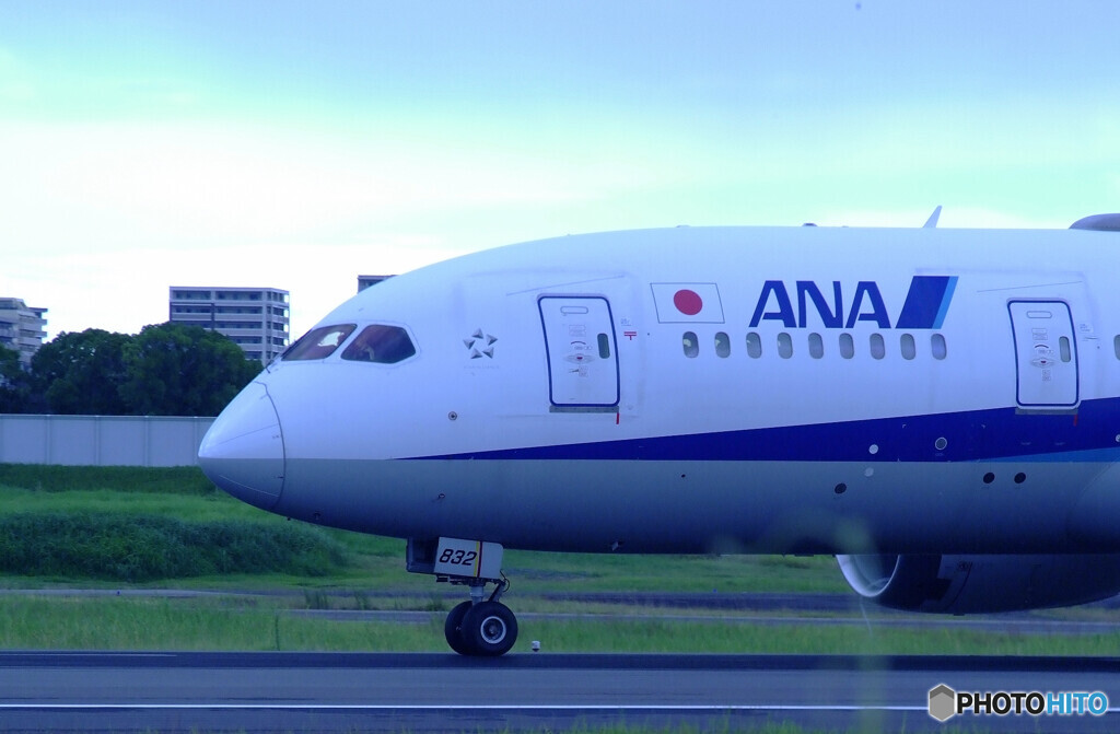 嵐の前に✈787-8 Dreamliner