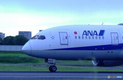 嵐の前に✈787-8 Dreamliner