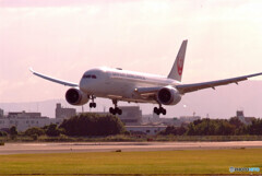 October SkyⅢ✈Dreamliner