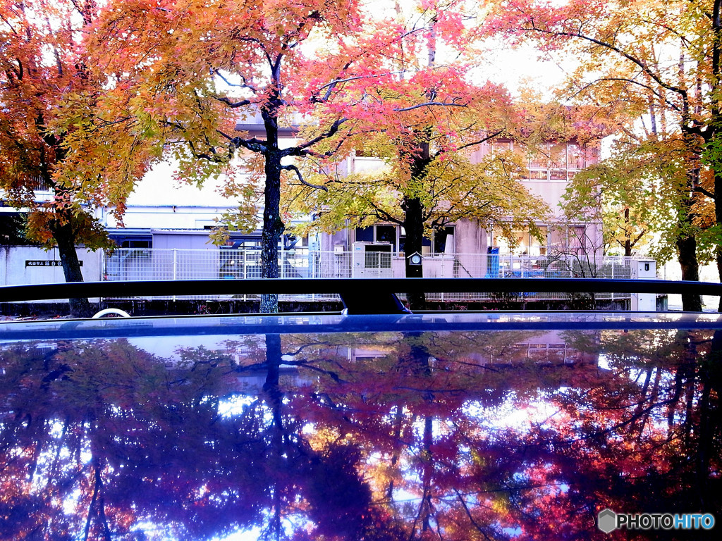 学び舎の紅葉にて