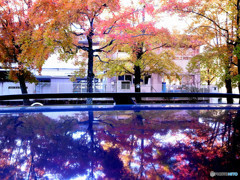 学び舎の紅葉にて