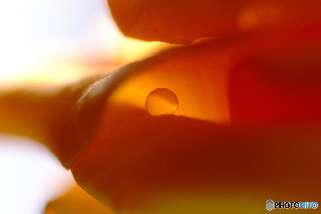 小さな恋人・雫