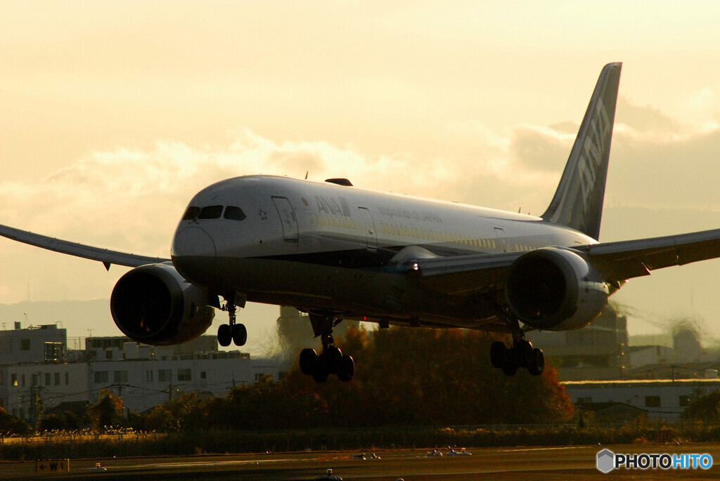 Beautiful MemoriesⅥ✈Boeing 787-8