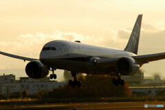 Beautiful MemoriesⅥ✈Boeing 787-8