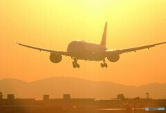 Energy✈希望の灯