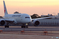 Morning Bird✈HARADAの朝
