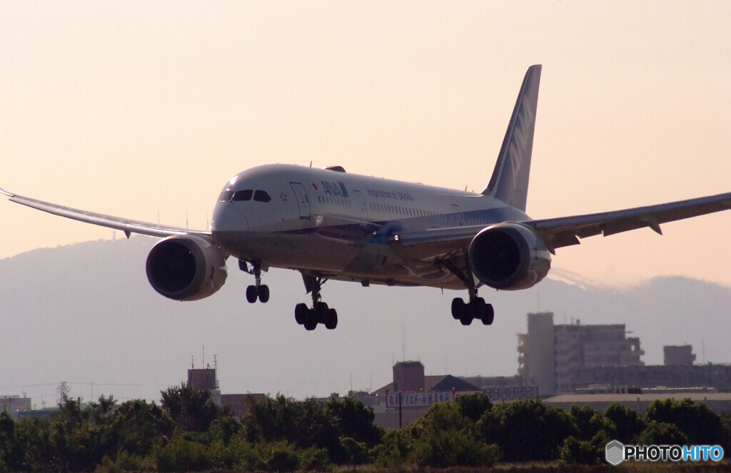 9月の旅人✈Boeing787-8