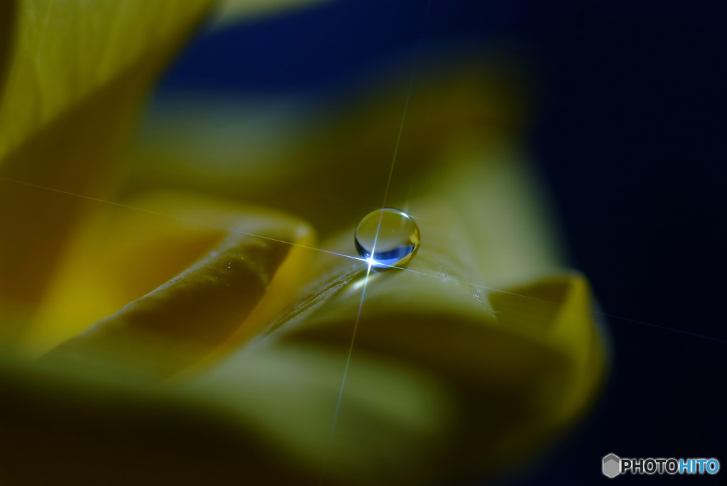 恋する惑星・Ⅴ