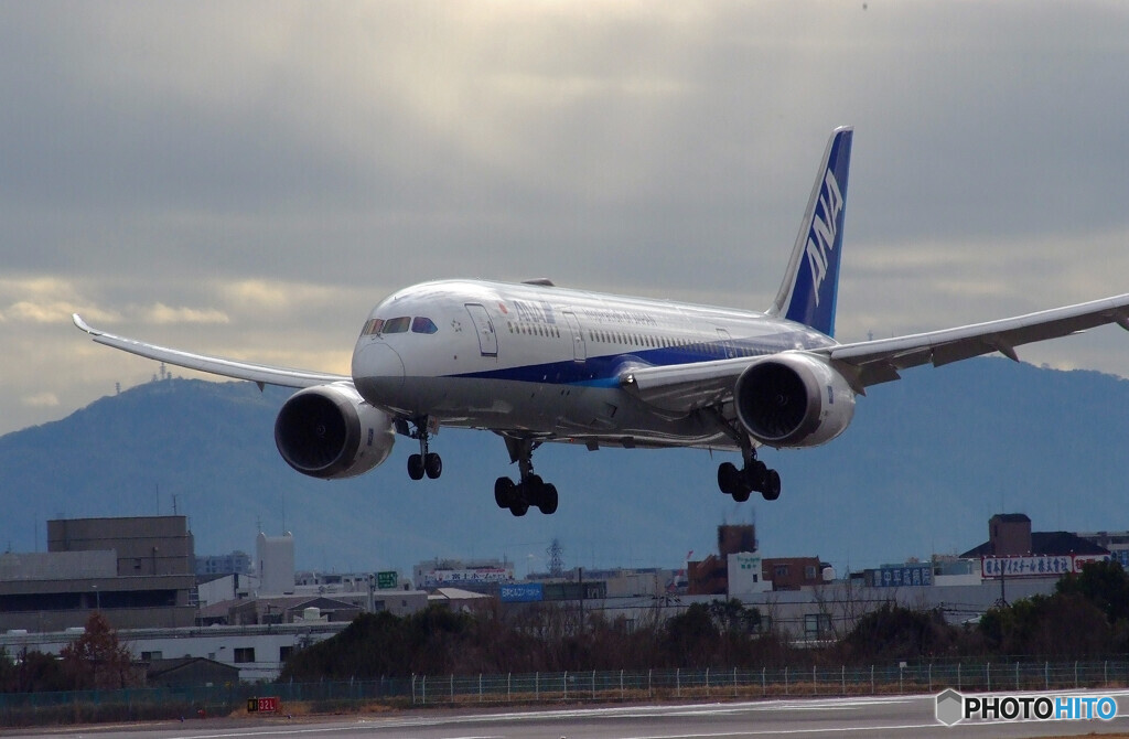 SKYLAND原田の朝✈Boeing 787-8