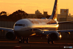 汚れた英雄・737